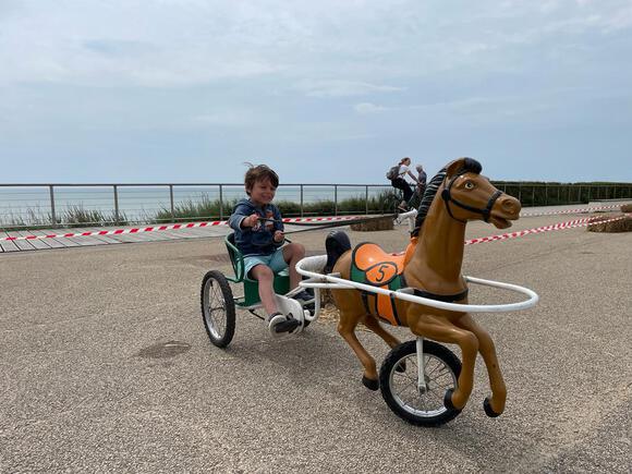 Chevaux à pédales